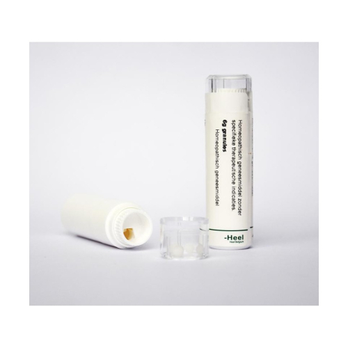 6 gram Homeoden Heel Sanguinaria Canadensis D6