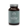 240 Tabletten Mattisson Chlorella Spirulina 500 mg Biologisch