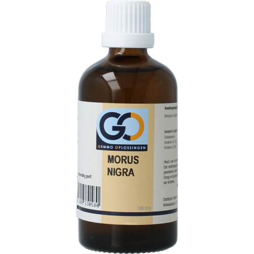 100 Ml GO Gemmo Oplossingen Morus Nigra Biologisch