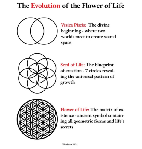 waterfles-violetglas-lifeaid-500-ml