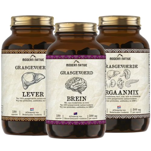 1 Set Modern Native Focus Bundel