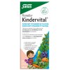 Salus Floradix Kindervital
