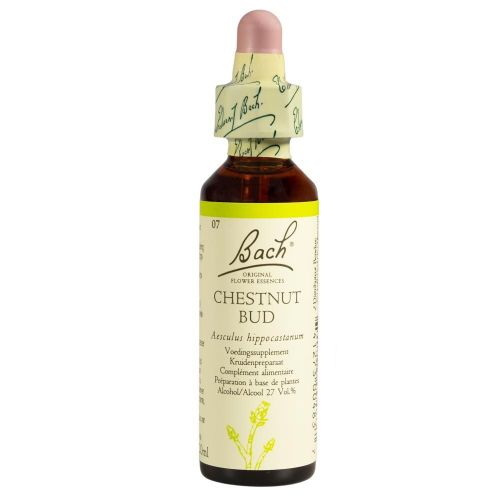 20 ml Bach Chestnut Bud