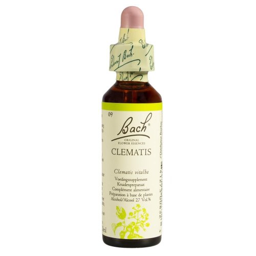 20 Ml Bach Clematis