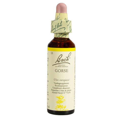 20 Ml Bach Gorse
