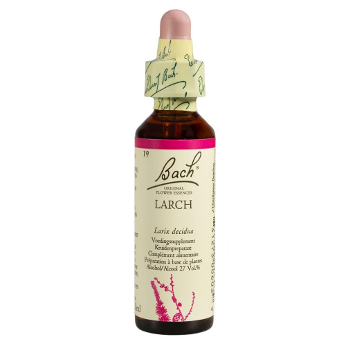 20 Ml Bach Larch