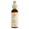 20 ml Bach Mimulus