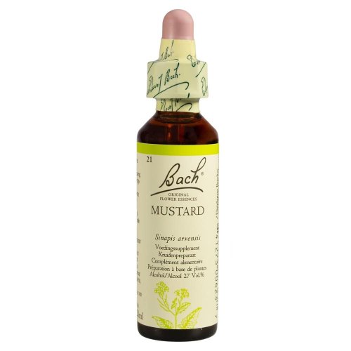 20 Ml Bach Mustard