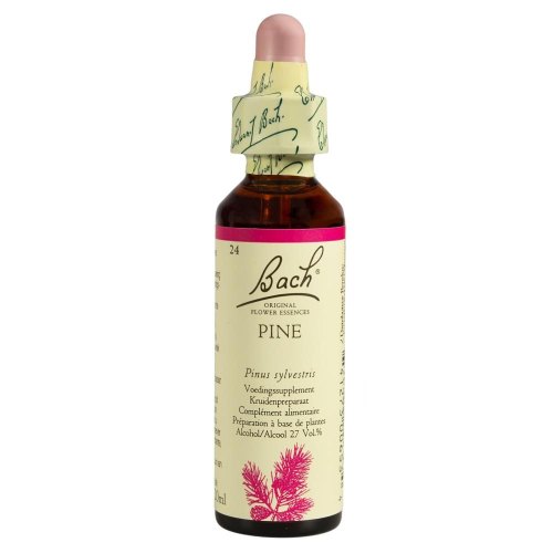 20 ml Bach Pine