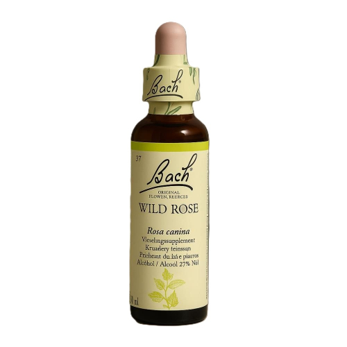 20 ml Bach Wild Rose