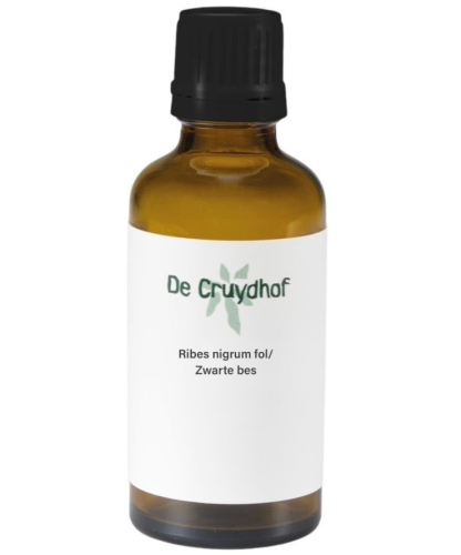 De Cruydhof Ribes Nigrum fol - Zwarte Bes Tinctuur 100 Ml