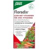 Salus Floradix IJzertabletten