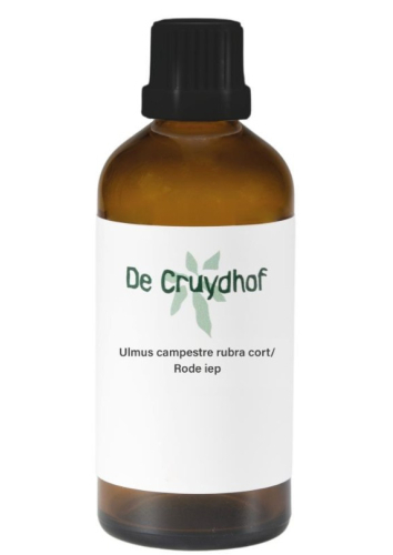 50 ml De Cruydhof Natura Sanat Ulmus Campestre Rubra Cort Rode Iep Tinctuur