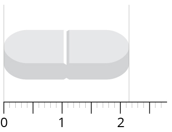 ginkgo-biloba-ps-vitals-60-tabletten