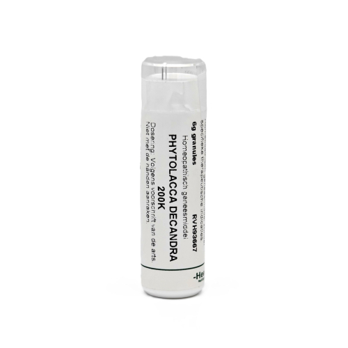 6 gram Homeoden Heel Phytolacca Decandra 200K