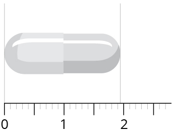 Vitals Pycnogenol 50 mg 60 capsules
