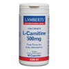 Lamberts L-Carnitine 500mg