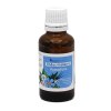 BalancePharma Endocrinotox 06 Hypophyse