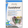 20 zakjes Physalis Eucalyforce Thee Biologisch
