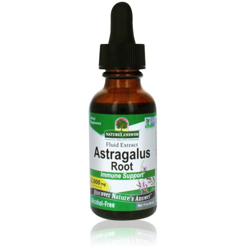 Natures Answer Astragalus - Vlezige Hokjespeul 30 Ml