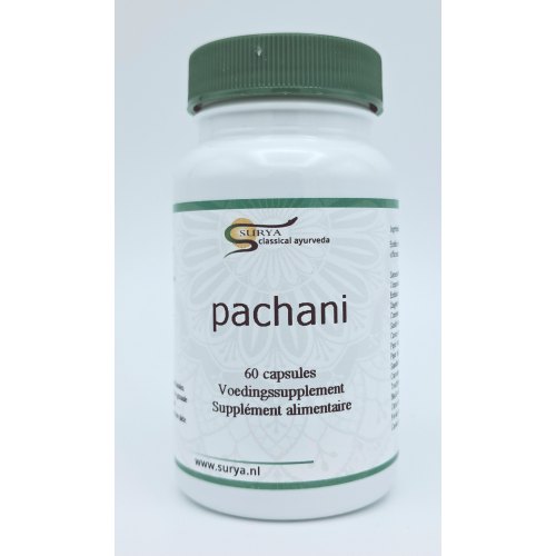 Surya Pachani 60 Kapseln