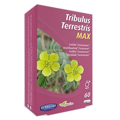 Orthonat Tribulus Terrestris Max 60 Kapseln