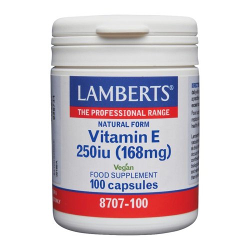 Lamberts Digestizyme 100 Kapseln