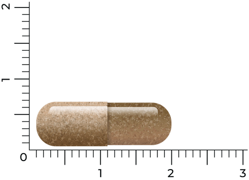 Vitakruid Reishi³ Duo extract 60 capsules
