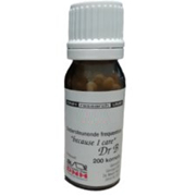 200 korrels DNH Research I&O-36