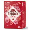 5000 ml Schulp Saptap Appels & Aardbeien
