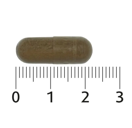 Lucovitaal Zweet Balans 60 Kapseln