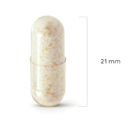 Perfect Health Multi Strain Probiotic 90 Kapseln