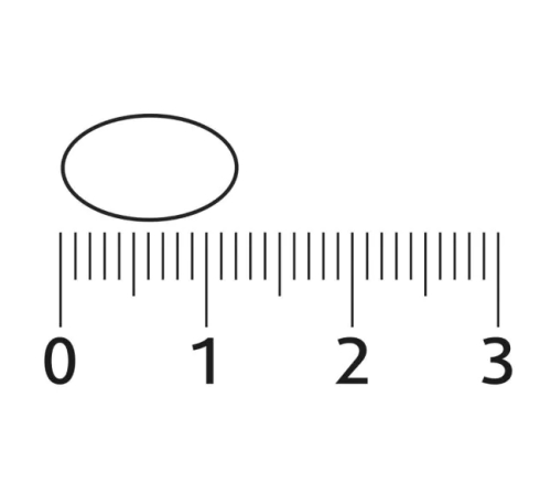 Lucovitaal Vegan Omega-3 Microalgen 60 capsules