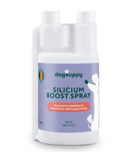 DogSuppy Silicium Boost 250 Ml