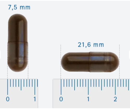 Vitalize Chaga 100% Natuurlijk 60 Kapseln