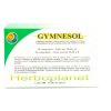 48 tabletten Herboplanet Gymnesol