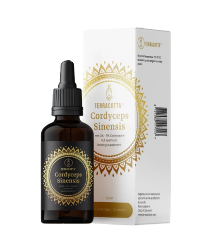 Terracotta Cordyceps Tinctuur Full Spectrum 30 Ml