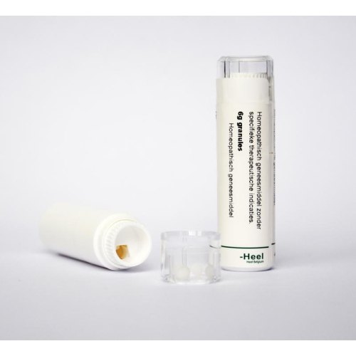Homeoden Heel Phosphorus D6 6 Gramm Granulen 