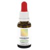 50 ml PharmaNutrics Mineral Mangaan