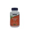 60 Vegicaps NOW Curcuma Longa 500 mg