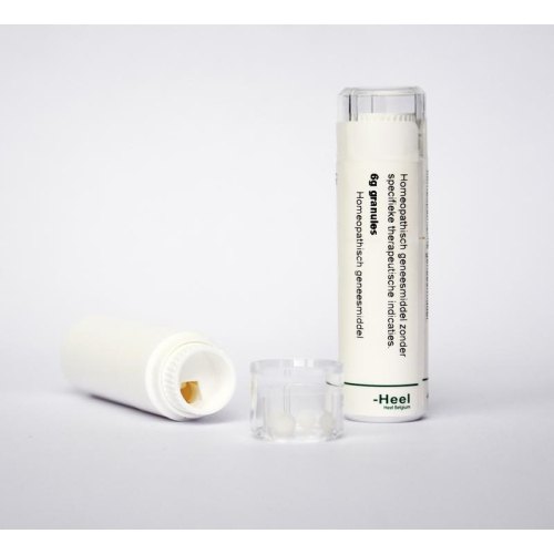 Homeoden Heel Secale Cornutum 30CH 6 Gramm