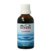 50 ml DNH Research Luchtplex Grove Den Simplex Tinctuur