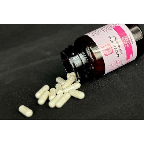Kala Health Akkermansia Muciniphila 30 capsules