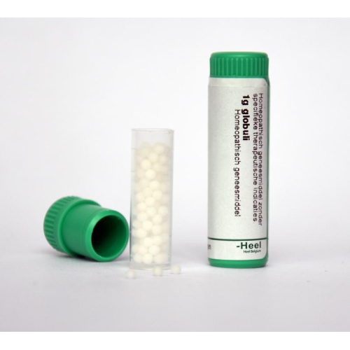 1 gram globuli Homeoden Heel Anacardium Orientale D30