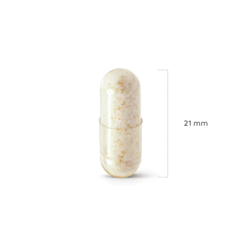 Perfect Health Human Probiotic 90 capsules