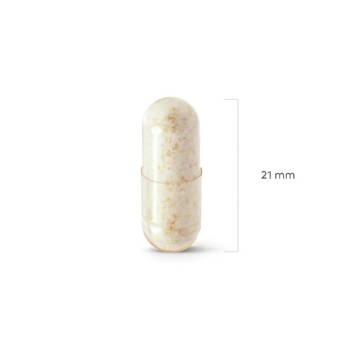 Perfect Health Human Probiotic 180 Kapseln