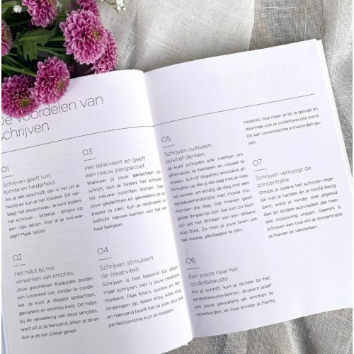 CL-Health Supplements Brain Balance Journal 1 boek