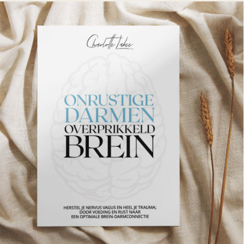 CL-Health Supplements Onrustige Darmen Overprikkeld Brein 1 boek