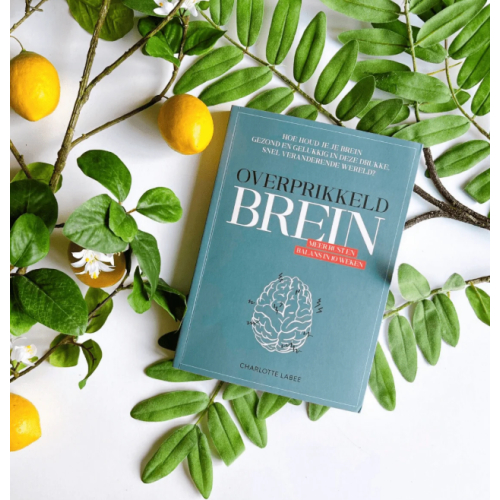 CL-Health Supplements Overprikkeld Brein 1 boek