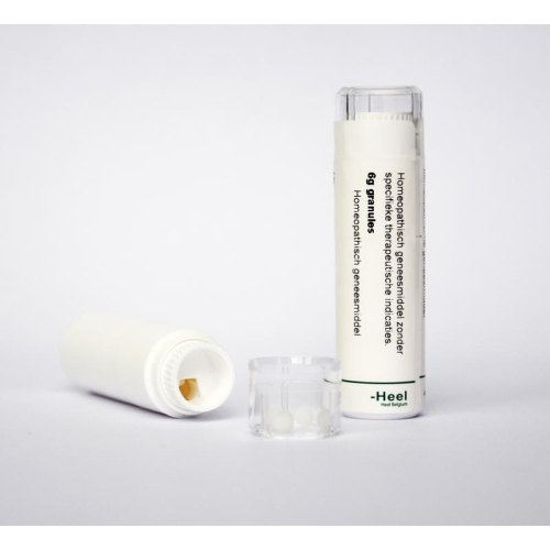 6 gram Homeoden Heel Ledum Palustre D60